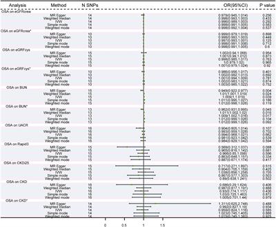 Causal effects of obstructive sleep apnea on chronic kidney disease and renal function: a bidirectional Mendelian randomization study